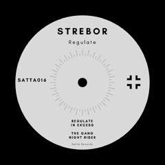 PREMIERE: Strebor - In Excess [Satta Records]