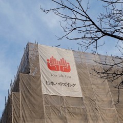 Japan Blues 200124