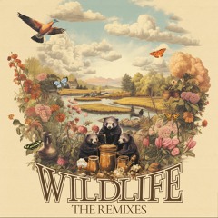 Honey & Badger - Wildlife The Remixes