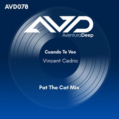 Cuando Te Veo (Pat The Cat Under The Sun Radio Edit)Vincent Cedric