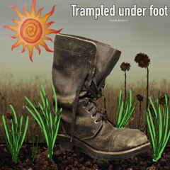 Trampled Under Foot (Led Zeppelin Cover)
