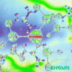 SHØWN - Stamine