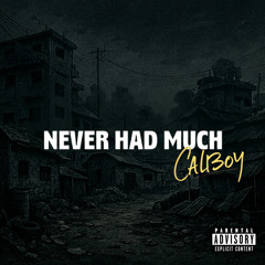 Never Had Much