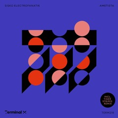 PREMIERE: Sisko Electrofanatik - Ametista (Original Mix) [Terminal M]