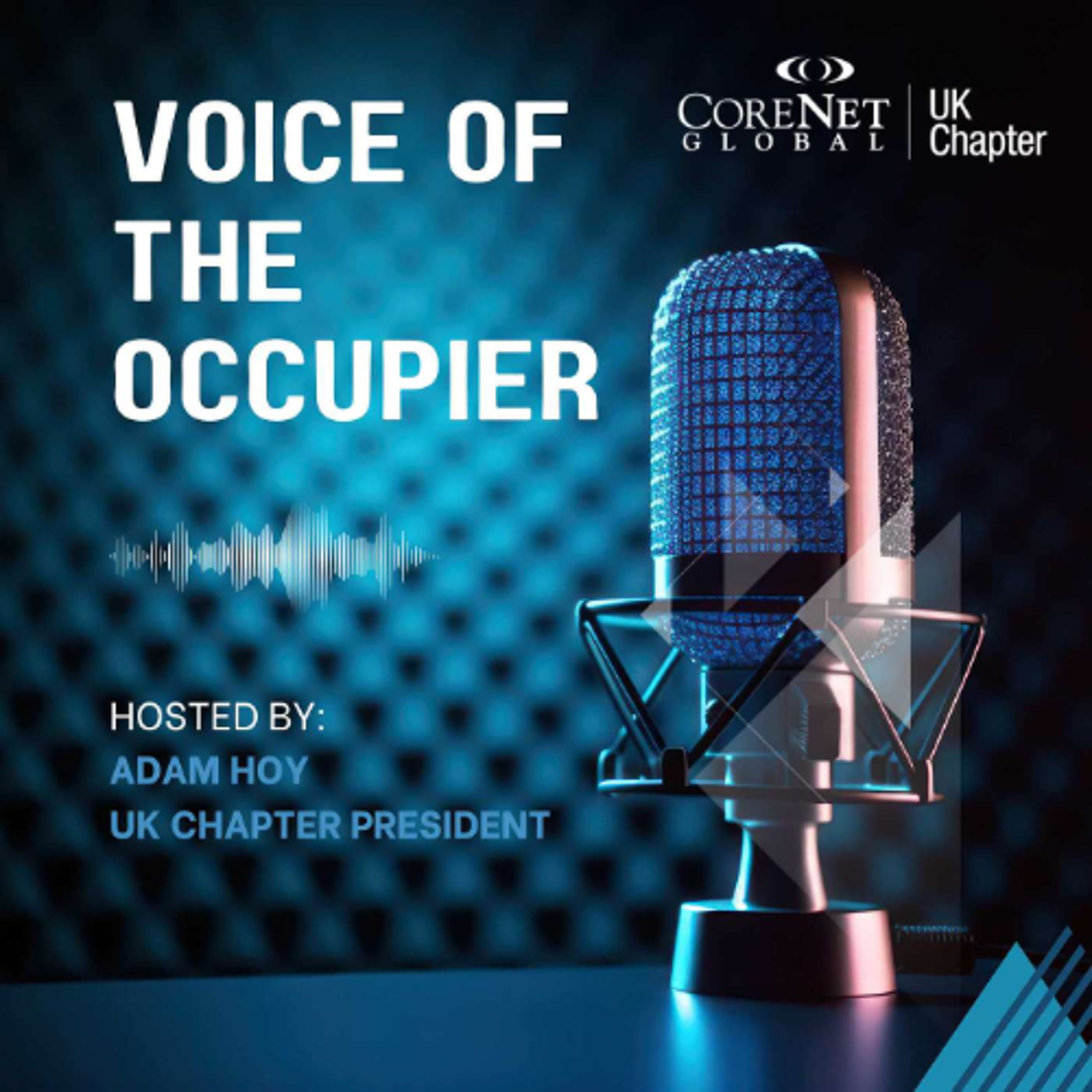 Voice of the Occupier: Ronen Journo