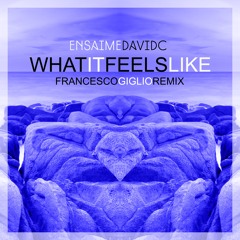 Ensaime, DavidC - What It Feels Like (Francesco Giglio Remix)