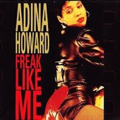 Adina Howard - Freak Like Me x Missy Elliott - Get Ur Freak On (DJ. DETOXX MashUp)