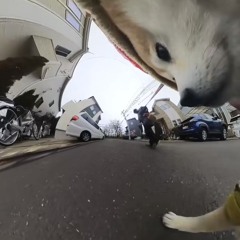 えらいねー！