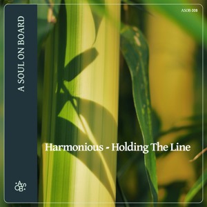 Harmonious - Holding The Line [A Soul on Board] Organic Deep House, Balearic