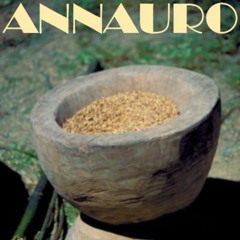 Deephouse - Shining Sun - Annauro