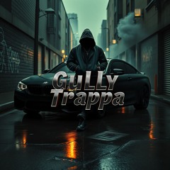 gully - trapper