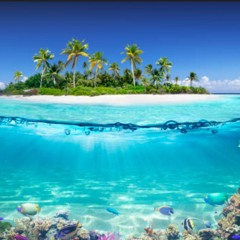 Island In The Sea.mp3