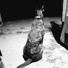 Caustic Exits - Shes lost control