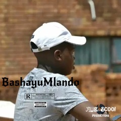 BashayuMlando - JustSoft x DjBlackZorro (Amapiano Original Mix) ft Smanga1.1, SS Deejays & Vandal