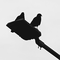 Diversas Problemáticas