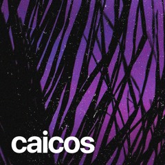 (FREE) | "Caicos" | Burna Boy x Skepta x Rema Type Beat | Free Beat | Afrobeat Instrumental 2025