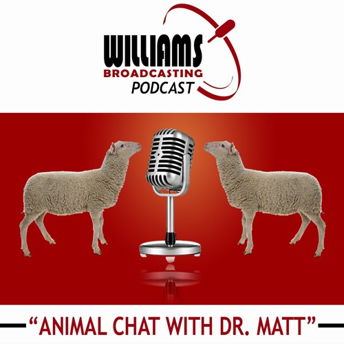 Stream Animal Chat 5 - 1-20 With Russell Breuer, Founder Of Spot