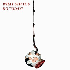 What did you do today?