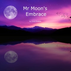 Mr Moon's Embrace