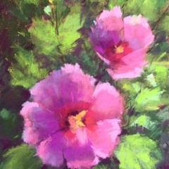 Flying over the river