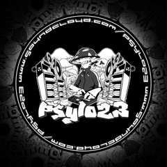 Psylo23 - One More Life