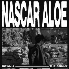 NASCAR ALOE - DOWN 4 THE COUNT