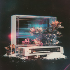 CONFESS (WITH AMARA ROSÉWOOD)