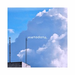 metadata.