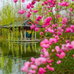 The Spring of DA Ming Lake