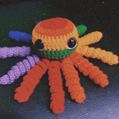 Homosexual Octopus