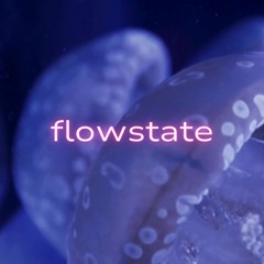 flowstate Guest Mixes 🐟
