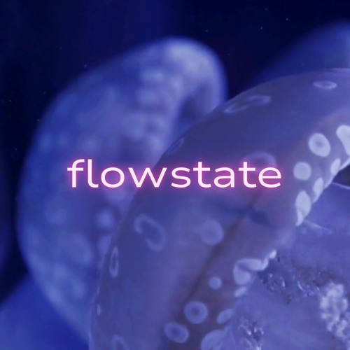 flowstate Guest Mixes 🐟
