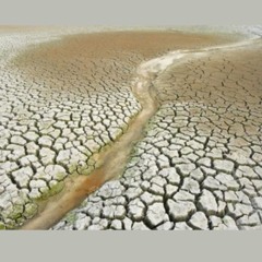 Hither Dead River Bed  (a duct-ape mix-tape)