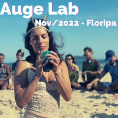 Auge Lab - Nov/2022 - Floripa - Brazil