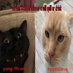 [Rosesleeves x yungThom] CAT PARADISE MIX