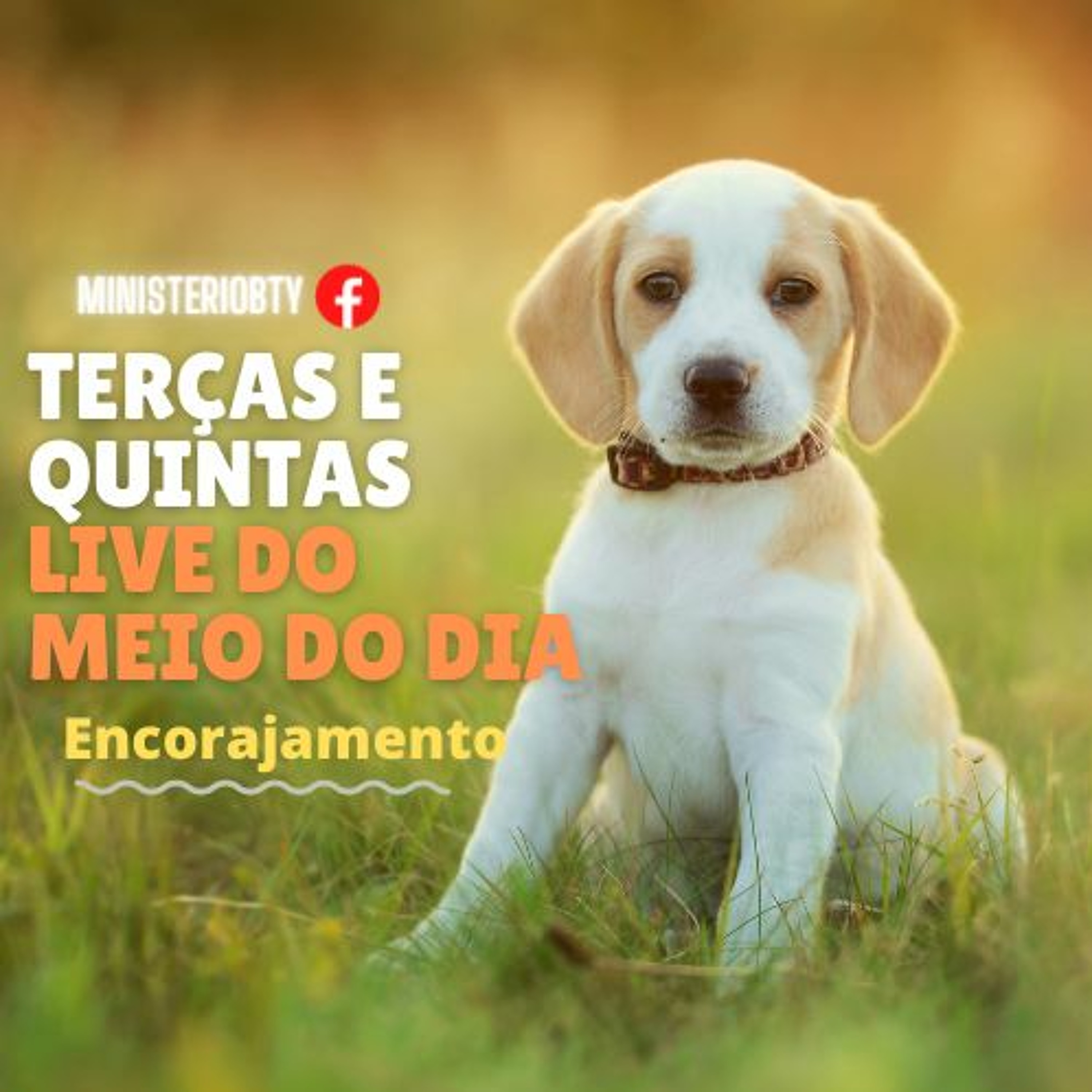 Encorajamento#2 episode artwork