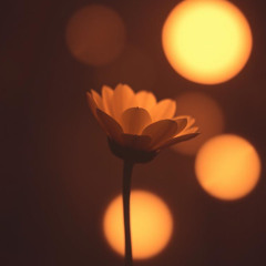 First Light (Remastered)