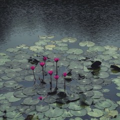 younger years with Tommy