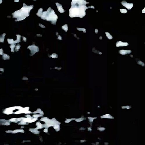 [Blink Twice If You Know These Words To Be True]