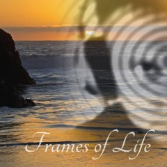 BLUNTED FORCE PROJECT "FRAMES OF LIFE"LP2020 (c) Creact Records
