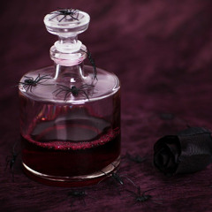 Black Spider