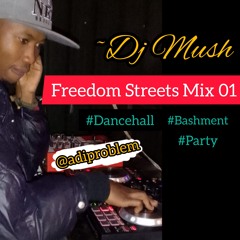 Freedom Streets MIX 01 2024 September by Dj Mush Adiproblem