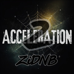 ZiDNB ACCELERATION 2