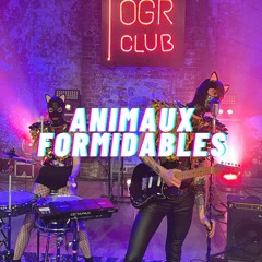 Famosini Backstage - Animaux Formidables