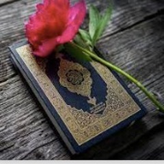 2 Hours  Quran Recitation By Omar Hisham  Be Heaven  Relaxation Sleep Stress Relief