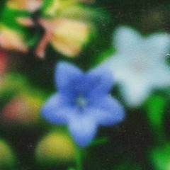 RITMICA 009 with Aural Stream (Wetware Echo)