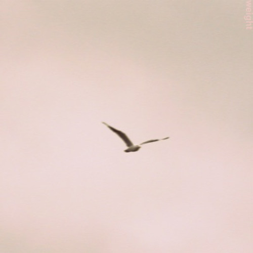 James King - When Times Were Simple (Slowed & Looped)