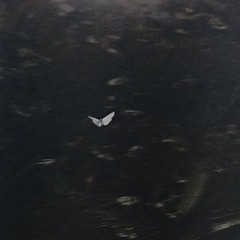 아프지 않게 (feat. hanxx)