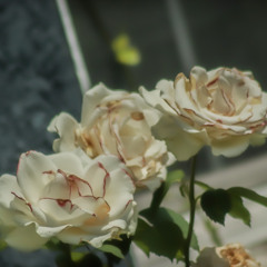 Caravan Palace-Melancolia [Hook](Slowed+Reverb)