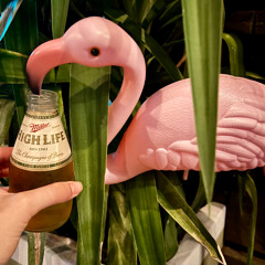 All Vinyl Frisky Mix @ Kitty Cohen's 11.21.25